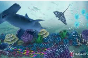 华体app官方下载入口正式版